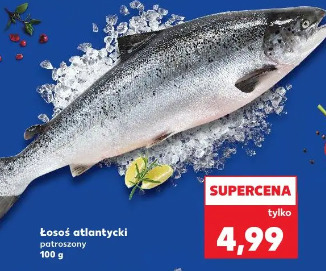 Łosoś atlantycki patroszony