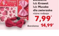 Bandama lub Krawat lub Muszka dla zwierzaka różne rodzaje