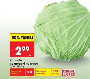 Kapusta na gołąbki