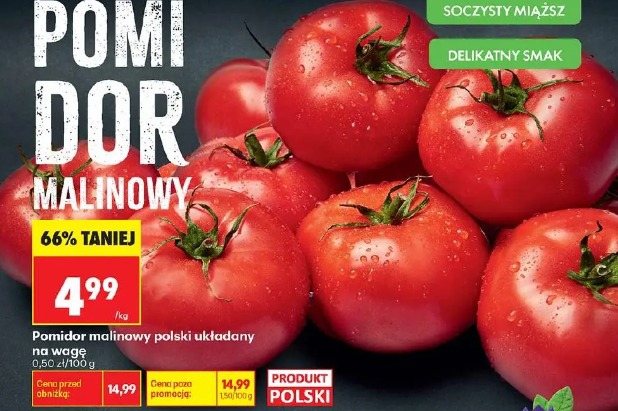 Pomidor malinowy polski układany 