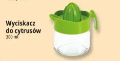 Wyciskacz do cytrusów