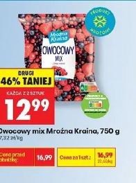 Owocowy mix Mrożna Kraina