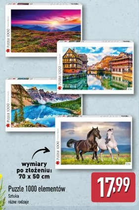 Puzzle 1000 elementów