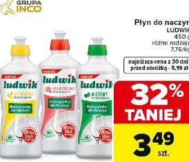 Ludwik płyn do naczyń