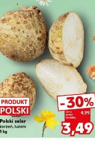 Polski seler korzeń