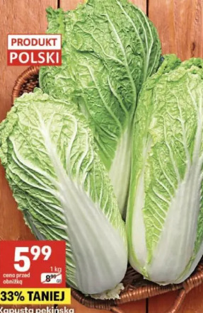 Kapusta pekińska wczesna