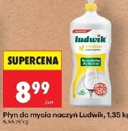 Płyn do mycia naczyń Ludwik