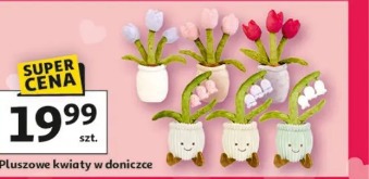 Pluszowe kwiaty w doniczce