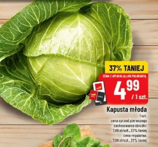 Kapusta młoda