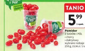 Pomidor Z Sadów i Pól