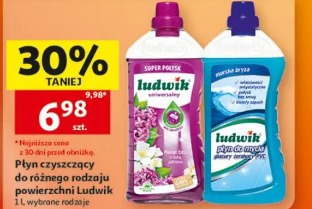 Płyn czyszczący do różnego rodzaju powierzchni Ludwik