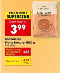 Soczewica Plony Natury