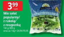 Mix sałat popularny/z rukolą/z roszponką
