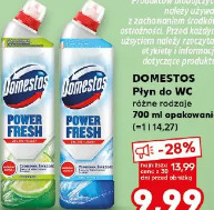 Domestos Płyn do WC różne rodzaje