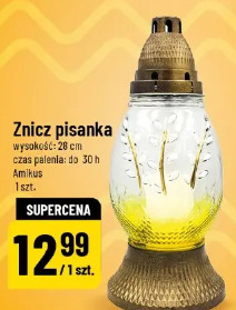 Znicz pisanka Amikus