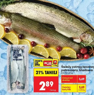 Świeży pstrąg tęczowy patroszony Marinero