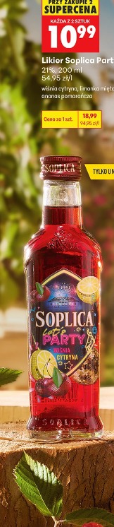 Likier Soplica Party