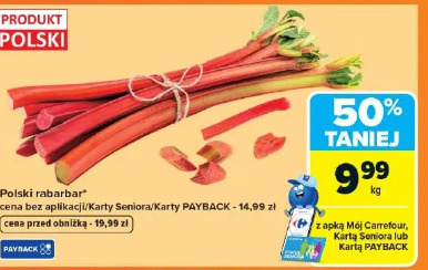 Polski rabarbar