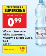 Woda mineralna lekko gazowana Muszyna Skarb Życia, 1,5 l