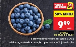 Borówka amerykańska