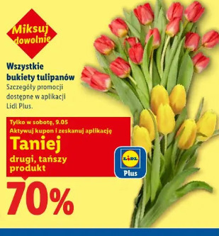 Wszystkie bukiety tulipanów