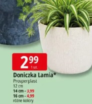Doniczka Lamia Prosperplast
