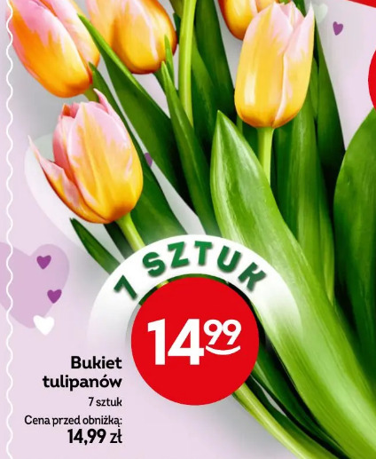 Bukiet tulipanów