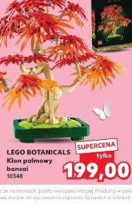 Lego Botanicals Klon palmowy bonsai 10348