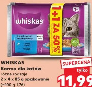 Whiskas Karma dla kotów