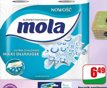 Ręcznik papierowy Mola