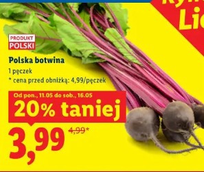 Polska botwina