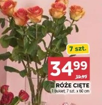 Róże cięte 7 szt. x 60 cm