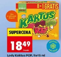Lody Kaktus POP