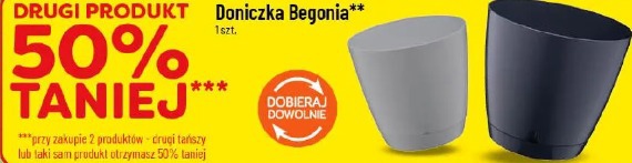 Doniczka Begonia