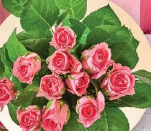 Róża, 11 szt.