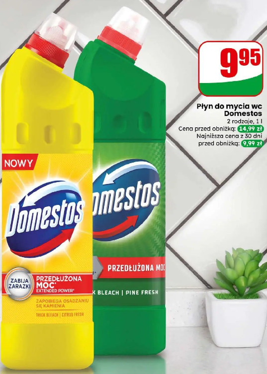 Płyn do mycia wc Domestos