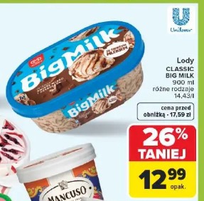 Lody CLASSIC BIG MILK 900 ml różne rodzaje