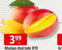 Mango dojrzałe RTE