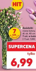 Goździki