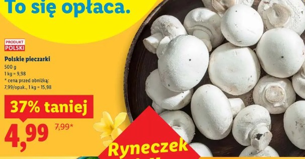 Polskie pieczarki