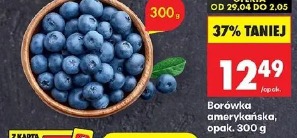 Borówka amerykańska