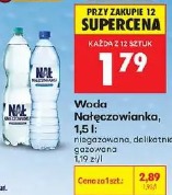 Woda Nałęczowianka