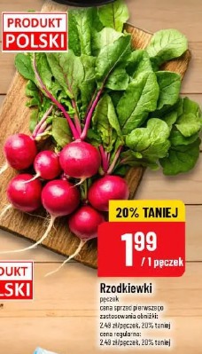 Rzodkiewki