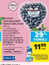 Borówki amerykańskie Serce Sanlucar