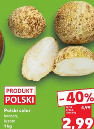 Polski seler korzeń