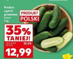 Polskie ogórki gruntowe