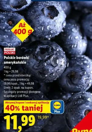 Polskie borówki amerykańskie