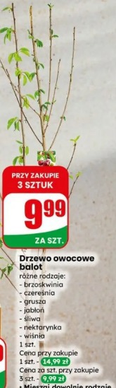 Drzewo owocowe balot