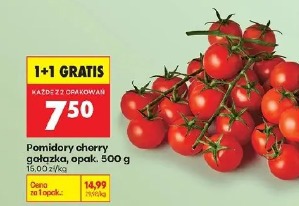 Pomidory cherry gałązka