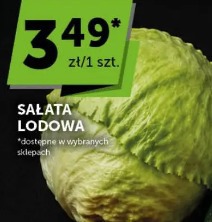 Sałata lodowa